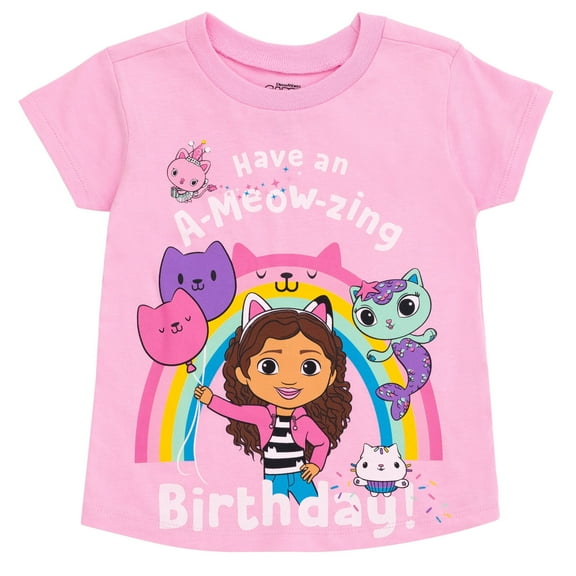Dreamworks Gabby's Dollhouse MerCat Kitty Fairy Cakey Cat Birthday Toddler Girls T-Shirt Pink 3T