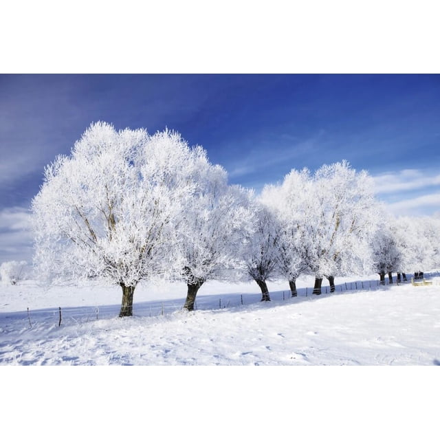 Kate Winter Snow Branch Studio Backdrop Bokeh Forest Photo Background Snowflake Backdrop Props For Photography Microfiber Washable Photocall Studio Fond 7x5ft 2 2x1 5m