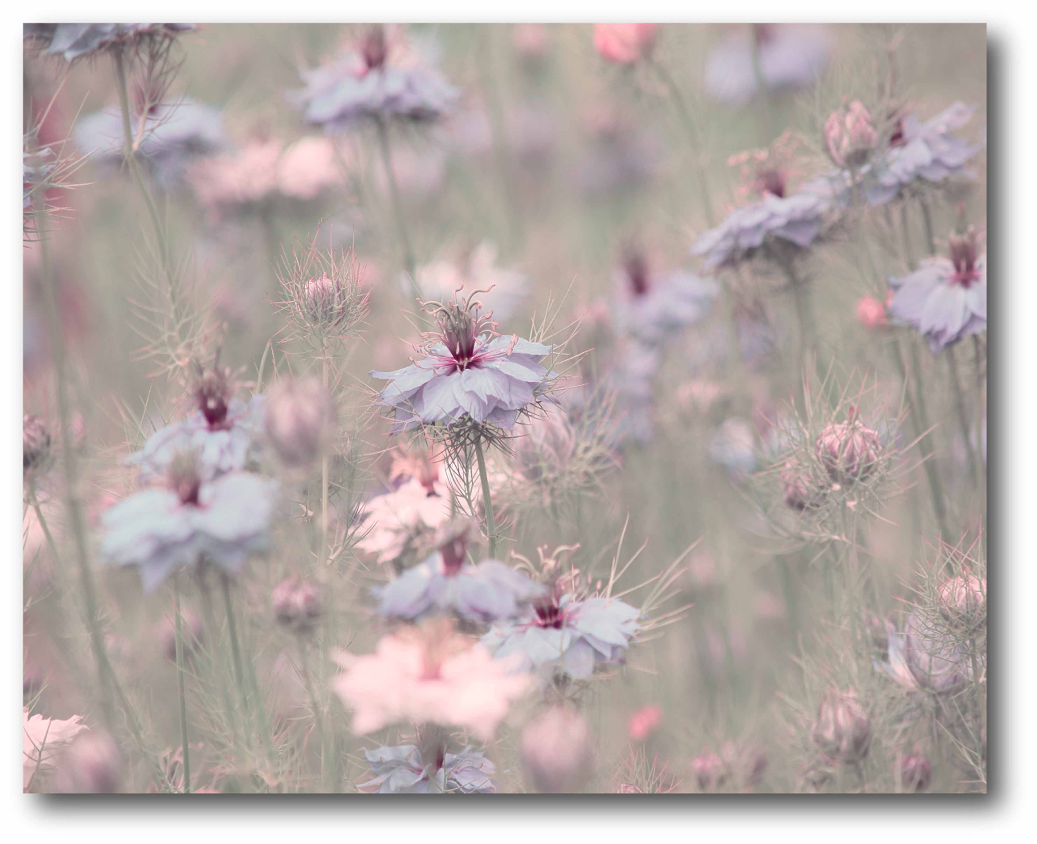 Dreamy-Garden Gallery-Wrapped Canvas Wall Art, 16x20