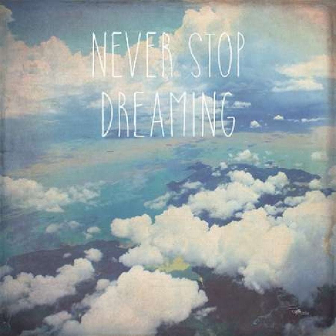 Dreamy II Canvas Art - Pela Studio (24 x 24)