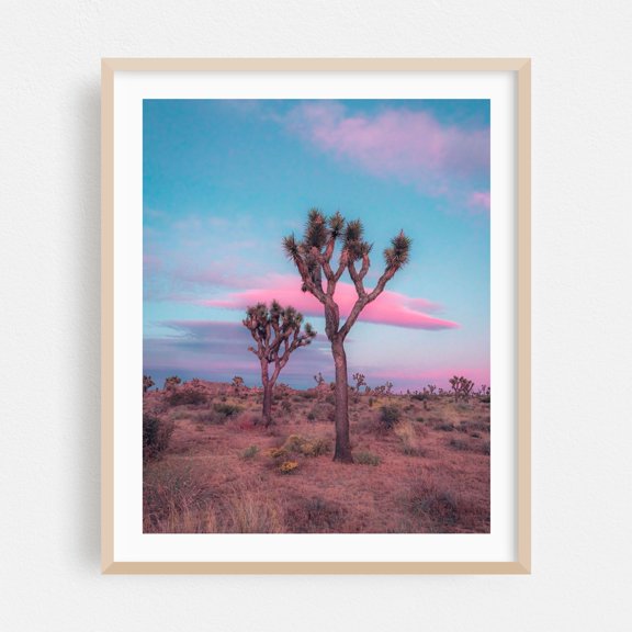 Dreamy Pastel Sunset in Joshua Tree - Joshua Tree California Photography Desert Nature Landscape Pastel Sunset Surrealism Botanical Oak Framed Wall Art Print 12 x 16 inches