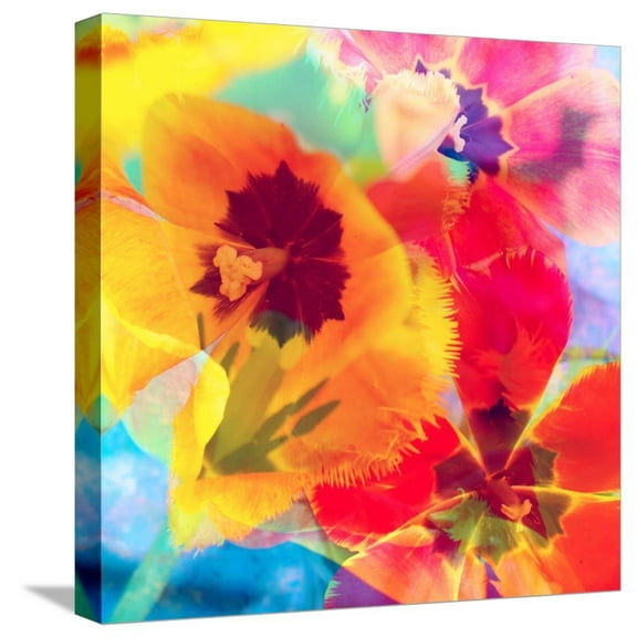 Dreamy Photographic Layer Work from Tulips, Botanical Stretched Canvas Wall Art by Alaya Gadeh Sold by ArtCom