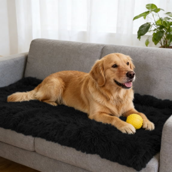 Dreisshy Dog Blankets 22"X14" - Small Cat Throw Blanket for Couch Protection, Fleece Puppy Blanket, Soft Plush Reversible Throw Furniture Protector, Black