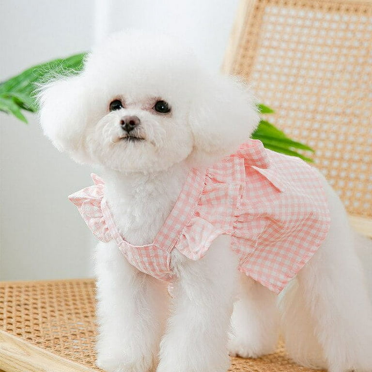 Clothes for 2024 bichon frise dogs