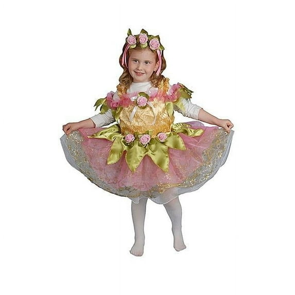 Dress Up America 419-T2 Ballerina - Toddler T2