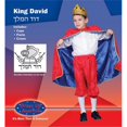 thumbnail image 1 of Dress Up America Deluxe King David Costume Set Small 4-6 234-S, 1 of 2
