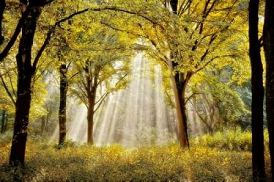 Dressed To Canvas Art - Lars Van de Goor (12 x 18)