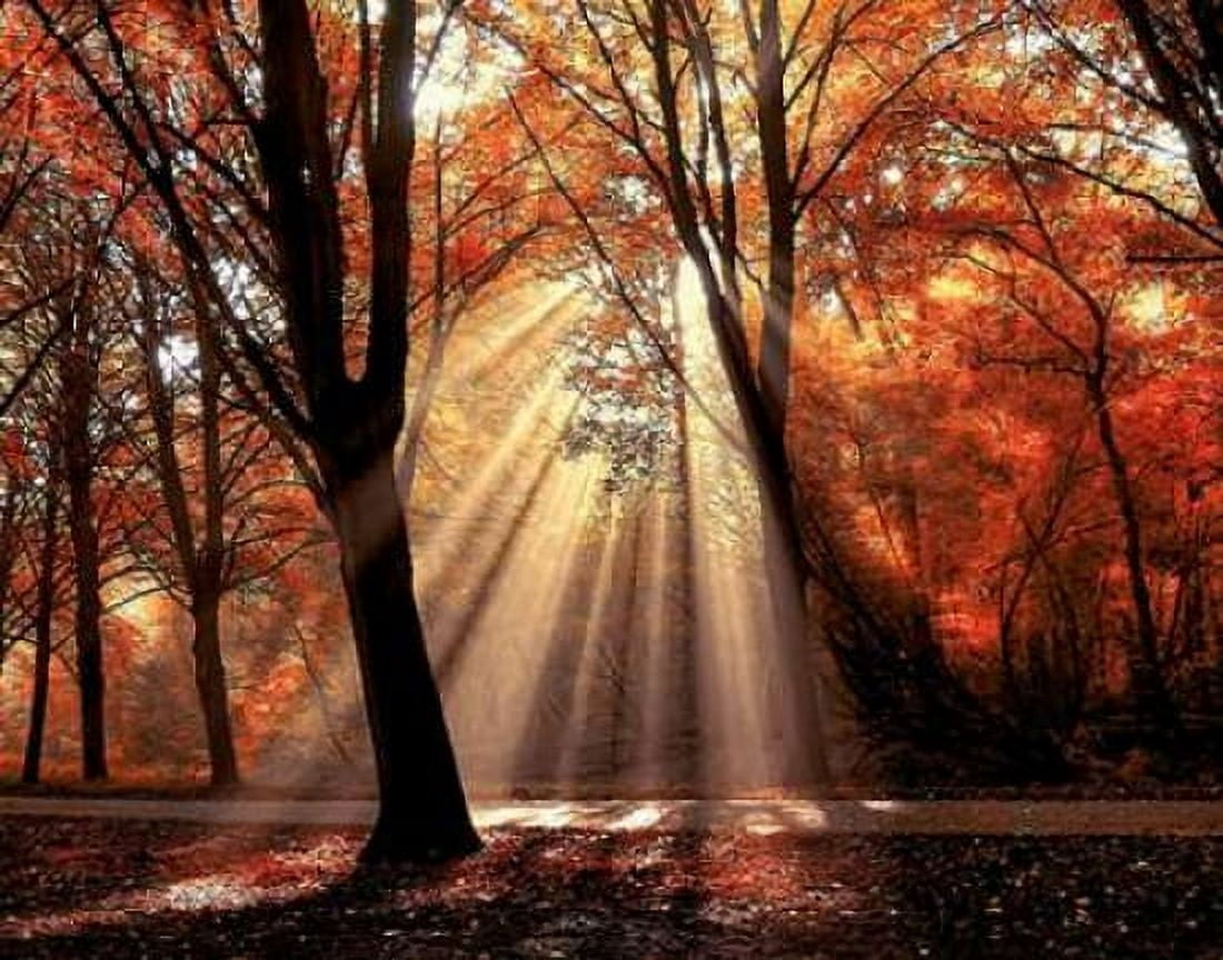 Dressed To Canvas Art - Lars Van de Goor (22 x 28)