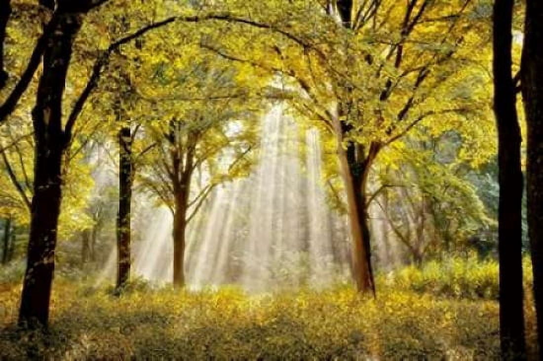 Dressed To Canvas Art - Lars Van de Goor (24 x 36)