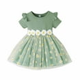 thumbnail image 1 of Dresses For Toddler Girls Floral Print Short Sleeve Princess Birthday Dress Bowknot Party Baby Girl Tutu Skirt Dresses,Green,6-9 Months, 1 of 5