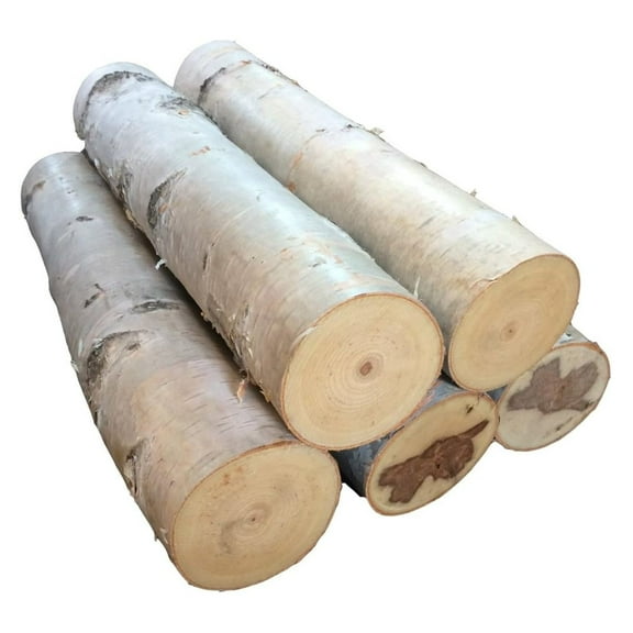 Drevy 18" Birch Wood High-Quality Logs, Set of 5
