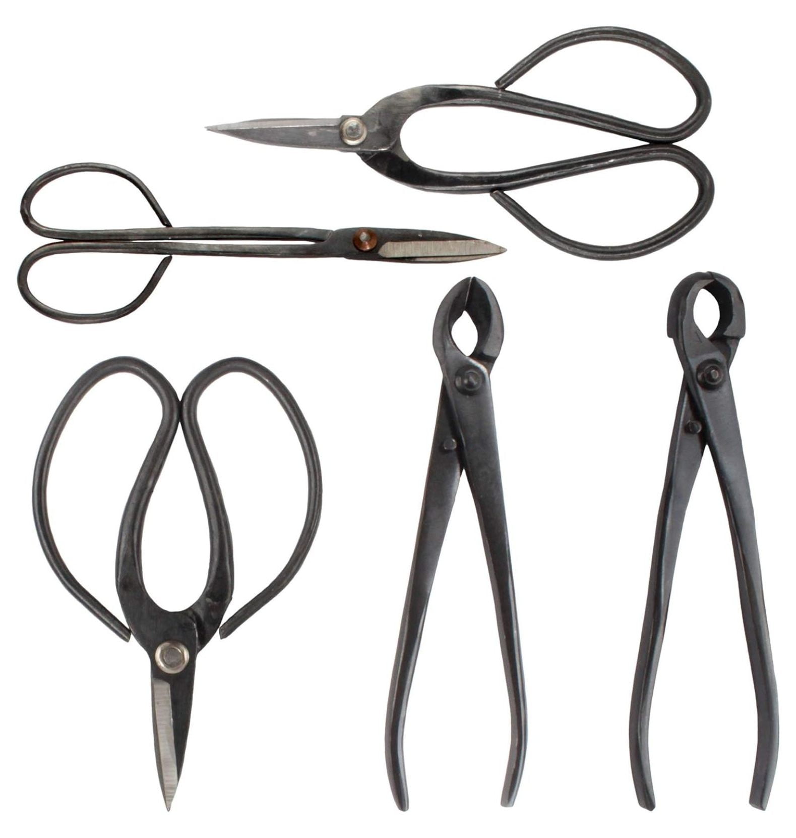 5-Piece Bonsai Tool Set - Root Rake, Shear, Root Pick, Moss Brush, Carbon Steel, Lifetime Warranty 11 thumbnail image
