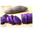 thumbnail image 1 of Drevy Japanese Purple Sweet Potato Plant Seeds, Eating or Planting, 1 of 6