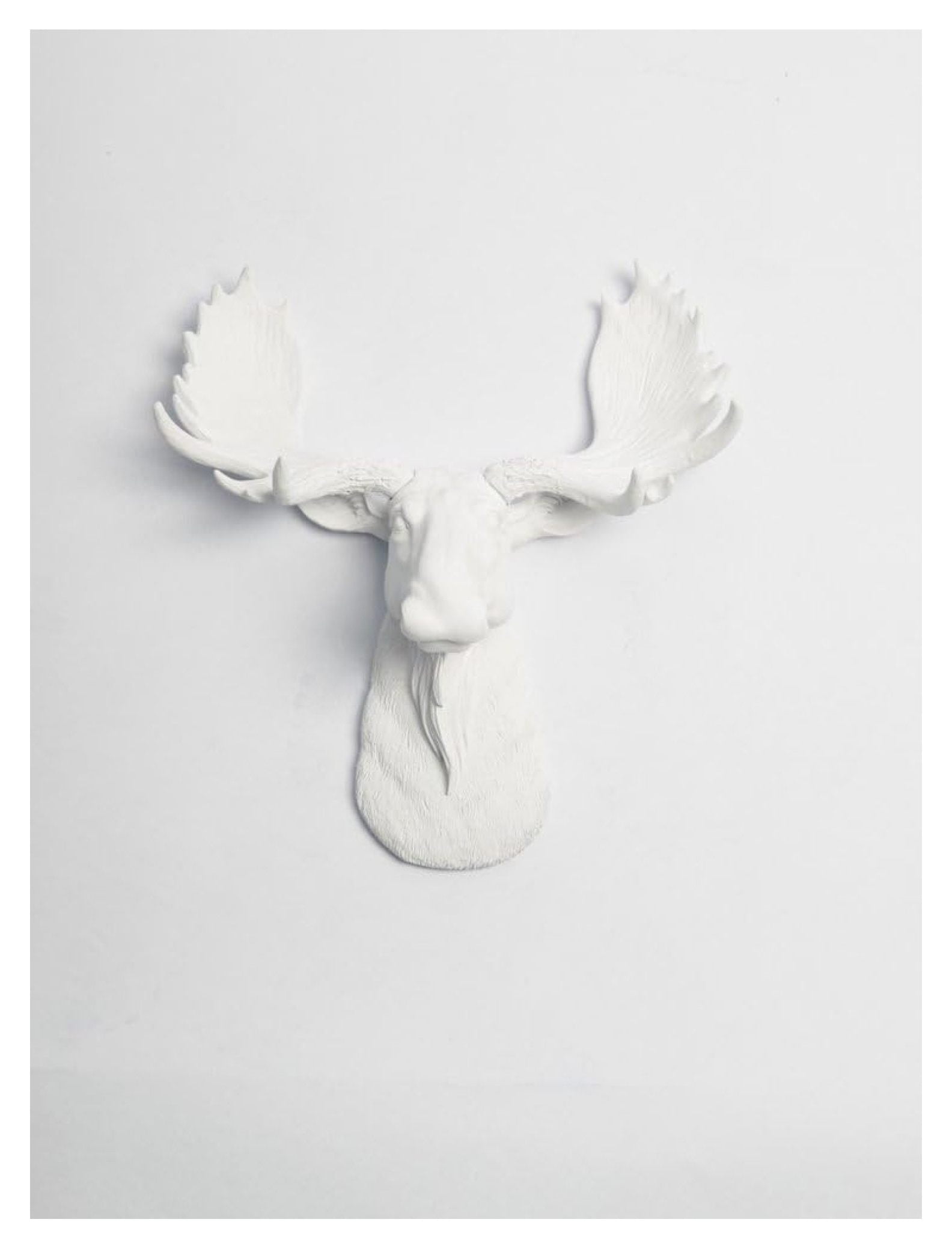 Drevy White Head Wall Mount The Mini Edmonton Miniature White Resin