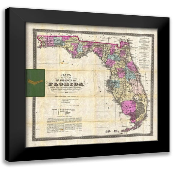 Drew, Columbus 12x12 Black Modern Framed Museum Art Print Titled - New Map of The State of Florida, 1870