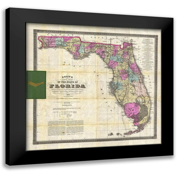 Drew, Columbus 15x15 Black Modern Framed Museum Art Print Titled - New Map of The State of Florida, 1870