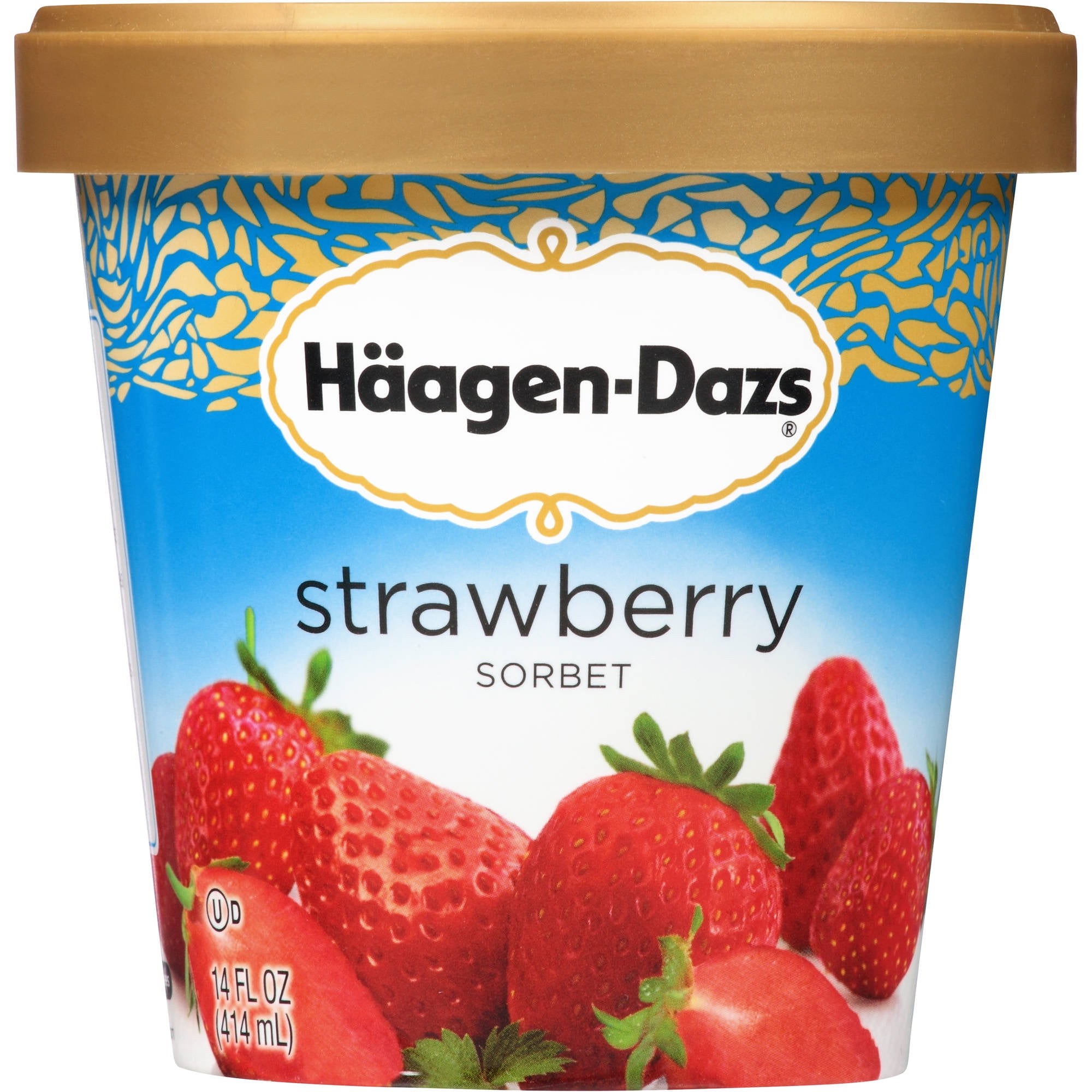 Dreyers Haagen Dazs Sorbet, 14 oz