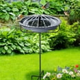 Dreyoo Bird Bath Fountain HYZ01 for Outdoor, Powered Hummingbird Water