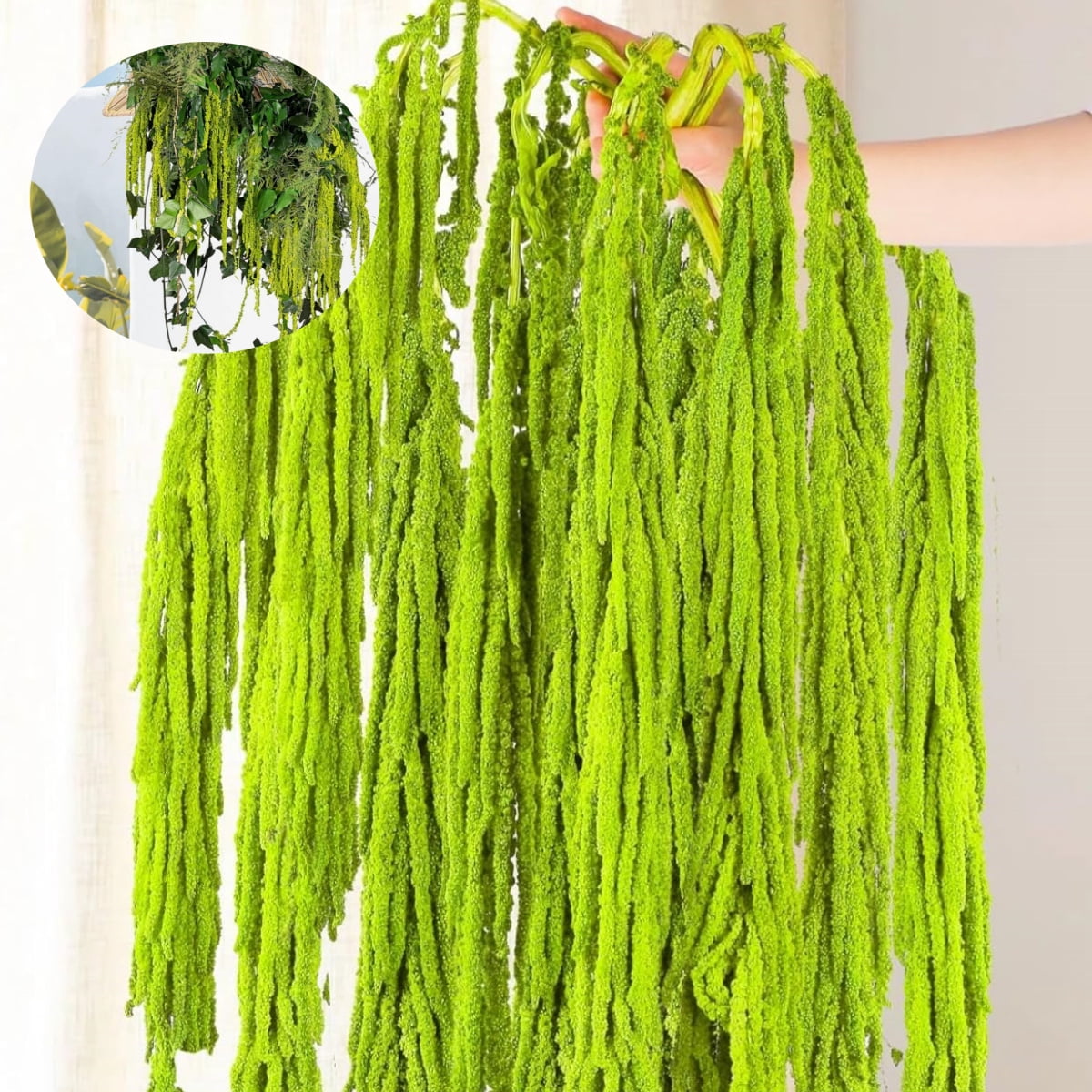 Dried Amaranthus Hanging Flowers,TGY Amaranthus Hanging Decor for Wedding,Flowers Arrangement for Wedding Arch Decor, Home Decor, Christmas Decoration