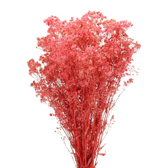 Dried Baby's Breath Flower 17 Inch Pink Natural Baby's Breath Branches for Wedding Party Home Decoration 1 Pcs