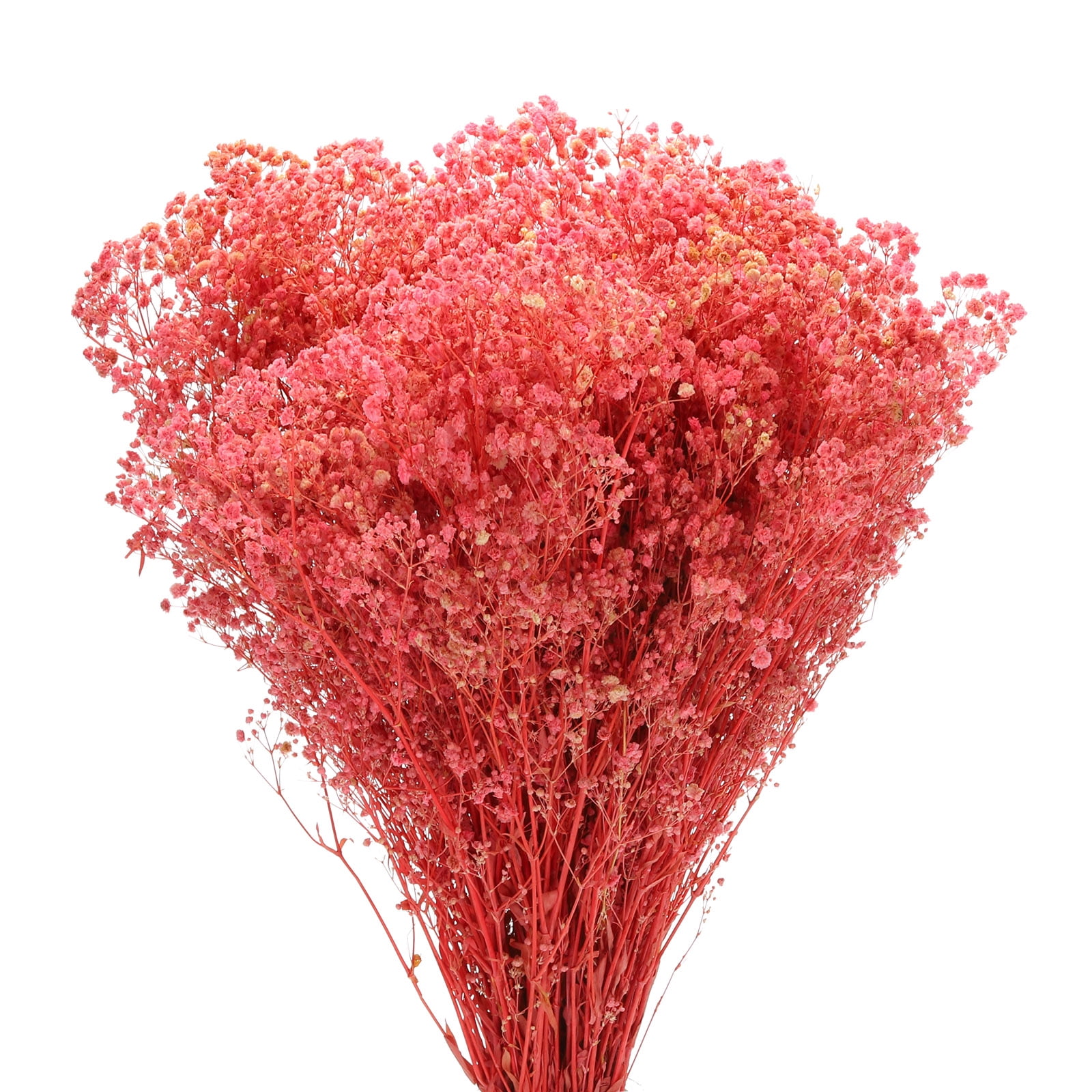 Dried Baby's Breath Flower 17 Inch Pink Natural Baby's Breath Branches for Wedding Party Home Decoration 3 Pcs