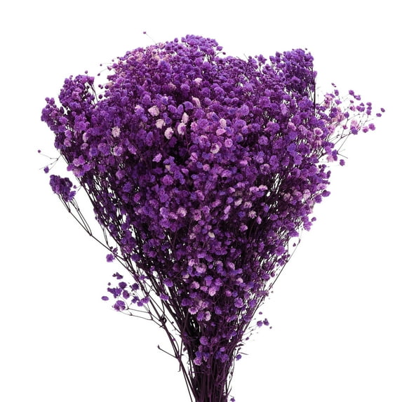 Dried Baby's Breath Flower 17 Inch Purple Natural Baby's Breath Branches for Wedding Party Home Decoration 2 Pcs