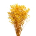 thumbnail image 1 of Dried Baby's Breath Flower 17 Inch Yellow Natural Baby's Breath Branches for Wedding Party Home Decoration 1 Pcs, 1 of 6