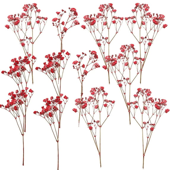 Dried Baby's Breath Flowers, 12 Stems Real Dried Breath Flowers Gypsum Flowers for Wedding Home Decor, DIY Scrapbooking Craft Supplies 
