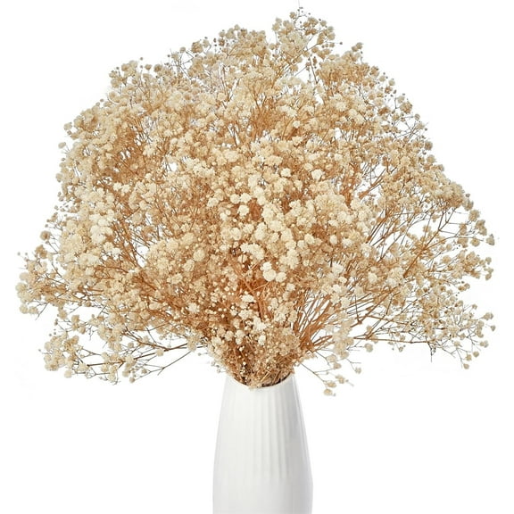 Dried Baby's Breath Flowers Bouquet,Bexikou 17.2 inch 2000+ Natural White Dried Flowers,Natural Gypsophila Branches for Wedding, Party, Table Vase, DIY Wreath Floral, Home Decor