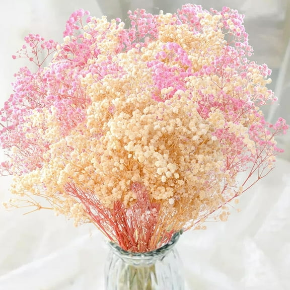 Dried Babys Breath Bouquet,Dried Gypsophila Branches,16 inch Dried Pressed Flowers,Dry Flowers Bulk,Dried Babys Breath Flowers for Hair Accessory Art Craft DIY Card Making Wedding Decor,Pink+Beige