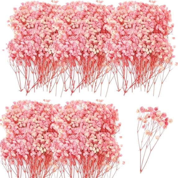 Dried Babys Breath Flowers Bouquet,Preserved Baby's Breath,Dried Pink Gypsophila Branches,Long Lasting Flowers,Dry Flowers Bulk for Wedding Valentine's Day DIY Headdress Wreath Floral Vase,50 Pcs 5''