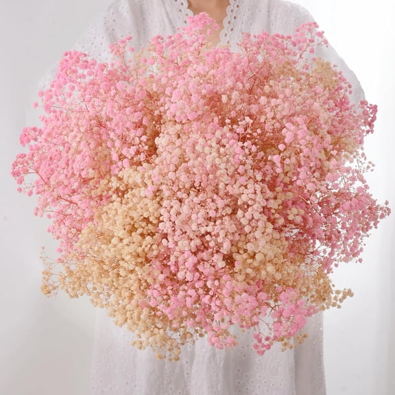 Dried Babys Breath Flowers Bouquet,Topboutique Dried Gypsophila Branches,Dried Gypsophila Flowers,Pink & Beige Dry Flower Bulk for Wedding,Valentine's Day,Vase,DIY Wreath Floral,Party Decor,0.22 lb