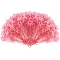 thumbnail image 1 of Dried Babys Breath Flowers Pink Gypsophila Bunches Bulk 50 Pcs Preserved Dried Flowers Long Lasting Flowers for Crafts Album Frame Greeting Card Photo Props Wedding Decor,5 inch/13 cm, 1 of 8