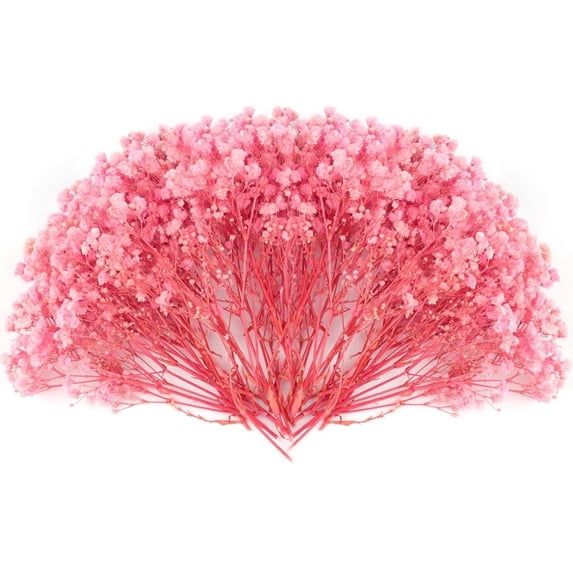 Dried Babys Breath Flowers Pink Gypsophila Bunches Bulk 50 Pcs Preserved Dried Flowers Long Lasting Flowers for Crafts Album Frame Greeting Card Photo Props Wedding Decor,5 inch/13 cm