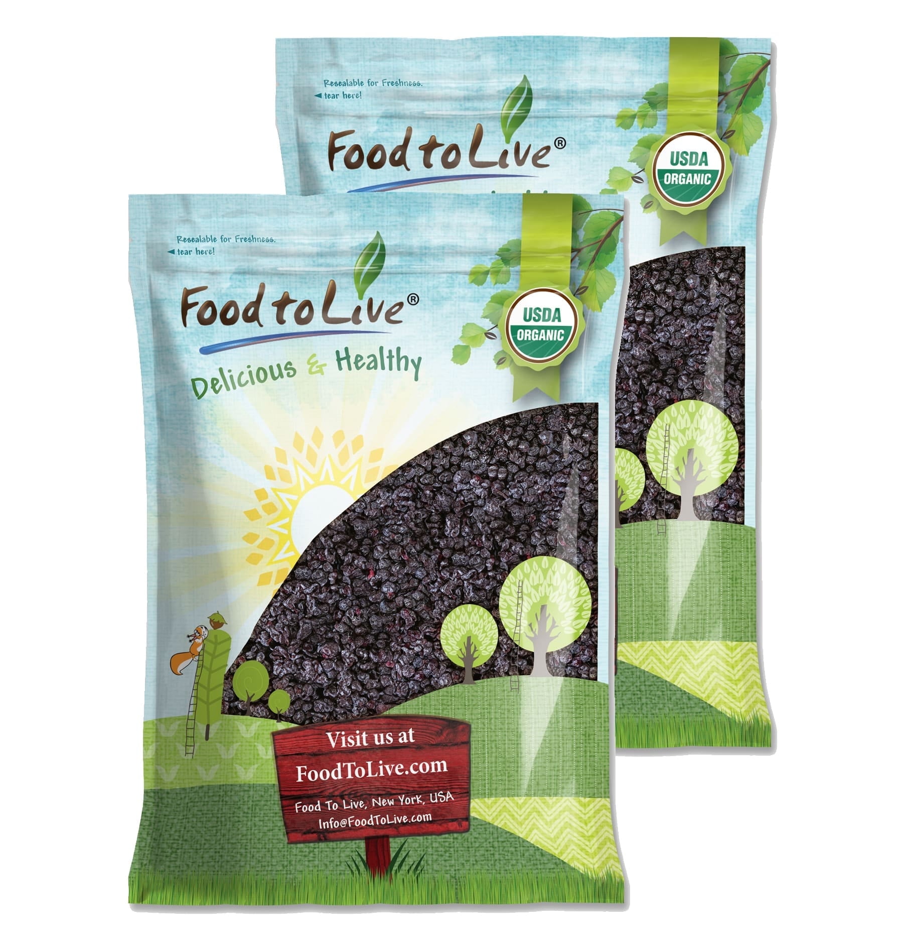 Dried Blueberries, 16 Pounds – Whole Berries, Lightly Sweetened, and Coated with Sunflower Oil, Kosher, Vegan, Unsulfured, Bulk