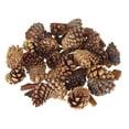 thumbnail image 1 of Dried Cinnamon Scented Pine Cones Natural Forms, 30-Piece, 1 of 1