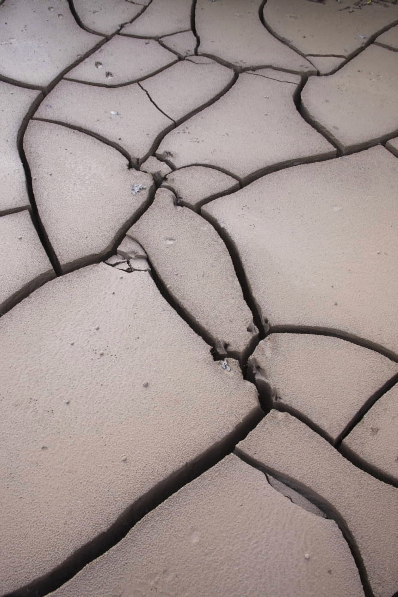 Dried Cracked Mud Along The Glenn Highway By Sheep Mountain Southcentral Alaska Fall Canvas Art - Hal Gage Design Pics (24 x 38)
