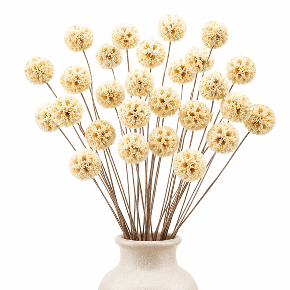 Dried Craspedia Billy Balls Flowers, 18 Natural Dried Flowers Bouquet for Vase Floral Arrangements Wedding Table Centerpieces Party DIY Home Decor (White)