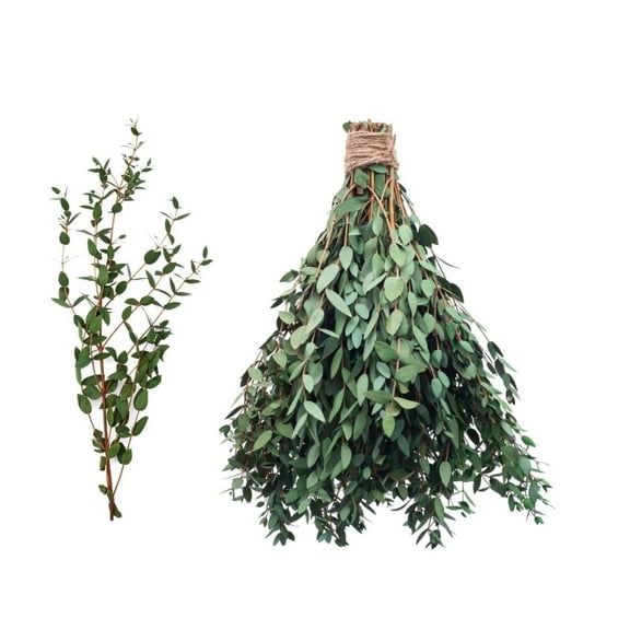 Dried Eucalyptus Arrangement,QZS Dried Preserved Eucalyptus Branches for Vase Filler,1Pack Preserved Greenery Branches for Farmhouse