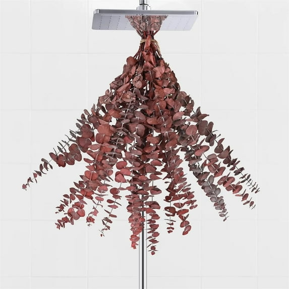 Dried Eucalyptus Bundle, Dried Eucalyptus Stems for Shower, Red Eucalyptus for Vase Filler, Preserved Eucalyptus Stems for Home SPA Bathroom Vase Decor,20Pcs