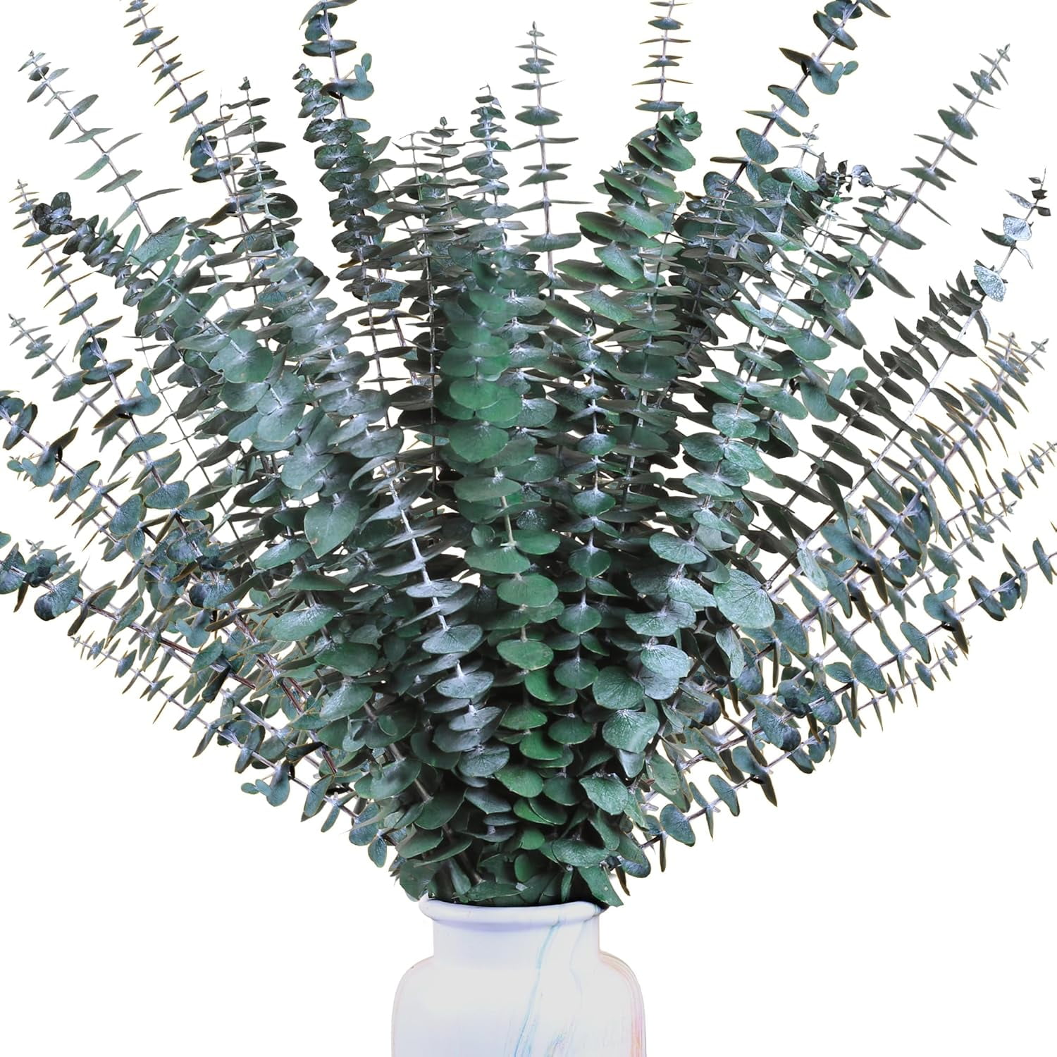 Fresh Eucalyptus Near Me in Your Backyard