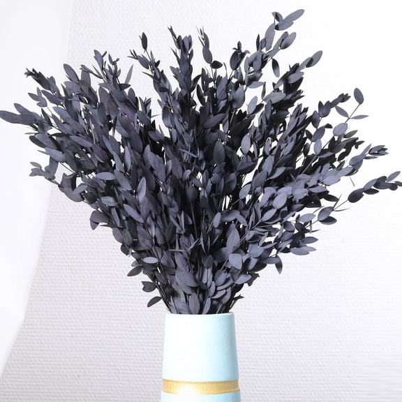 Dried Eucalyptus Leaves Real Preserved Stems, Fresh Eucalyptus Garland Branches for Shower, Dried Plant Live Bundle Purple Leaves for Wedding Wreath Party Home Fragrance Vase Dcor