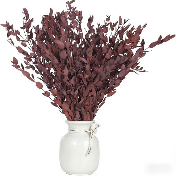 Dried Eucalyptus Leaves Stems, 2oz Preserved Real Eucalyptus Plant, Dried Willow Branches Bundle for Wedding Wreath Home Fragrance Vase Filler Bathroom Decor, Fall Arrangement Decorations(Red)