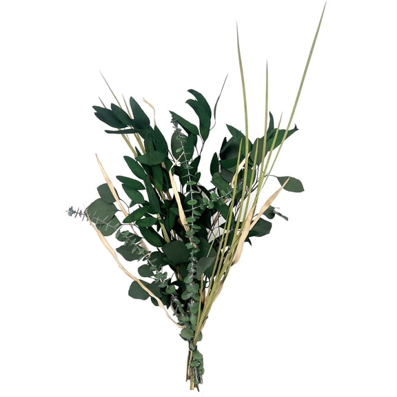 Botanical Avenue Eucalyptus Mix Green Bouquet - Indoor Decor, Artisan Crafted, Dried Floral Arrangement