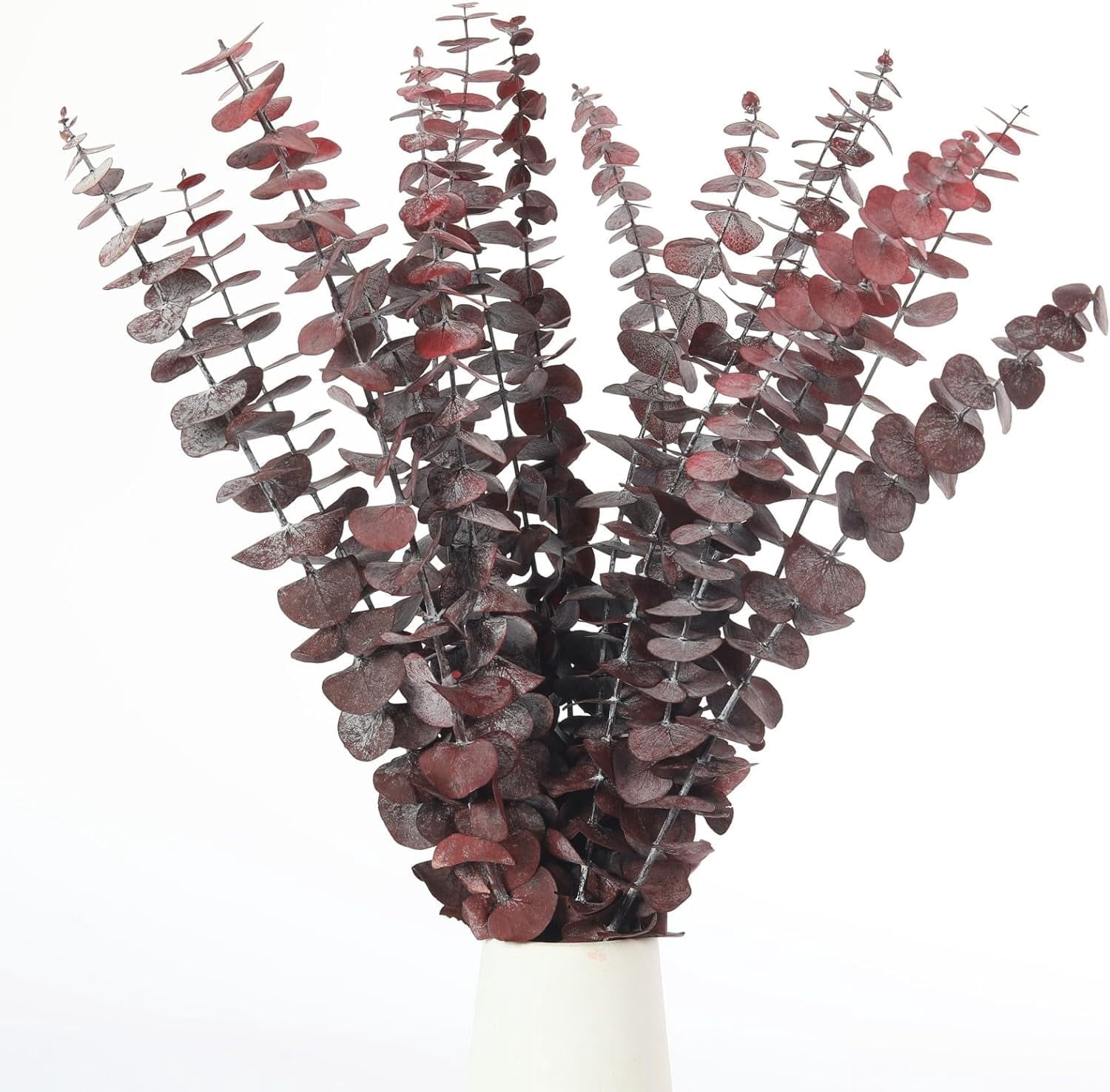 Dried Eucalyptus Plant,10 PCS Natural Dried Eucalyptus Bundle,17" Natural Fresh Hanging Eucalyptus Stems,,Red Dried Flowers for Vases,Fall Decorations for Home,Christmas Decoration