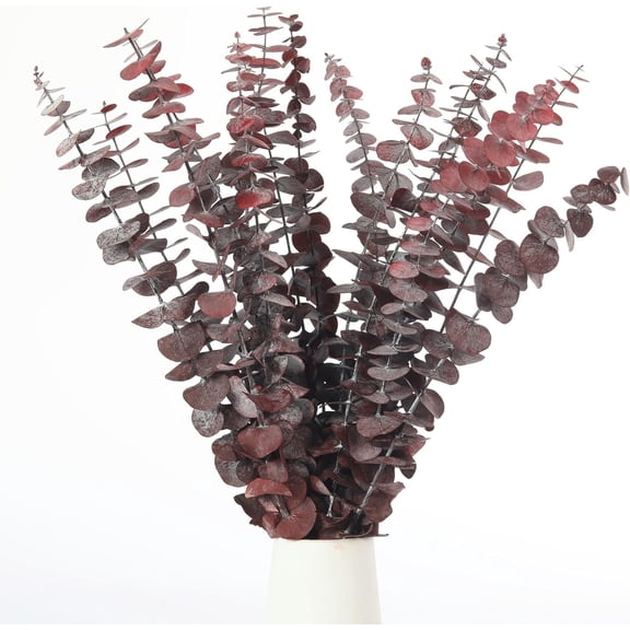 Dried Eucalyptus Plant,10 PCS Natural Dried Eucalyptus Bundle,17" Natural Fresh Hanging Eucalyptus Stems,,Red Dried Flowers for Vases,Fall Decorations for Home,Christmas Decoration