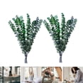 thumbnail image 1 of Dried Eucalyptus Plant,20pcs Durable Greenery Leaves for Vase Filler,Shower Hanging Plant,HYG Eucalyptu Plants for Farmhouse,Room Decor, 1 of 6