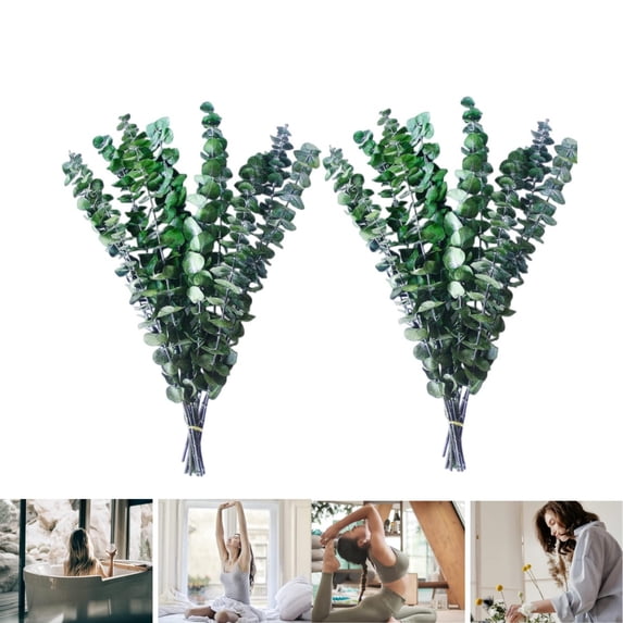 Dried Eucalyptus Plant,20pcs Durable Greenery Leaves for Vase Filler,Shower Hanging Plant,HYG Eucalyptu Plants for Farmhouse,Room Decor