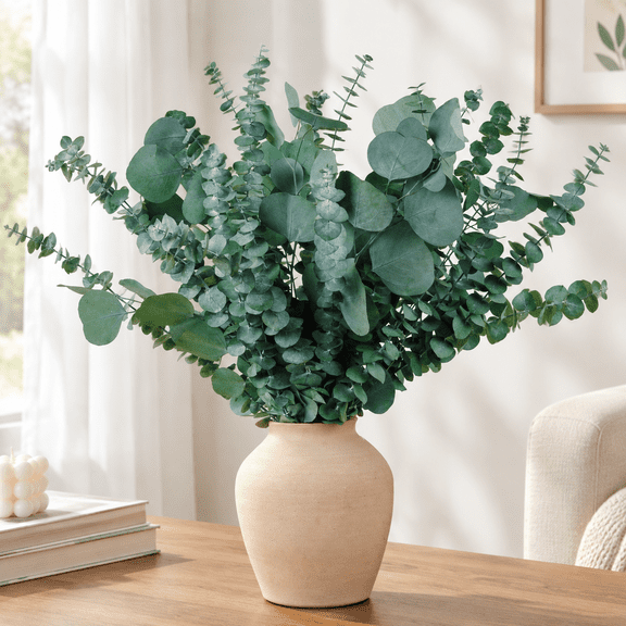 Dried Eucalyptus & Silver Dollar Leaves Bundle for Decor, 17''