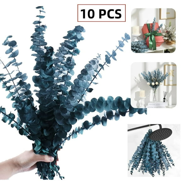 Dried Eucalyptus Stems Blue, Christmas Natural Fresh Eucalyptus Leaves for Vase, Dried Preserved Eucalyptus for Shower, Fall Decorations for Home, 17" Floral Arrangement, Wedding (10 Pcs)